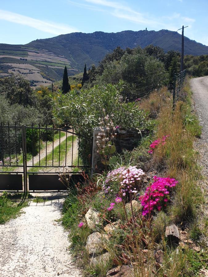 Mas Del Roumany Villa Port Vendres Exterior photo