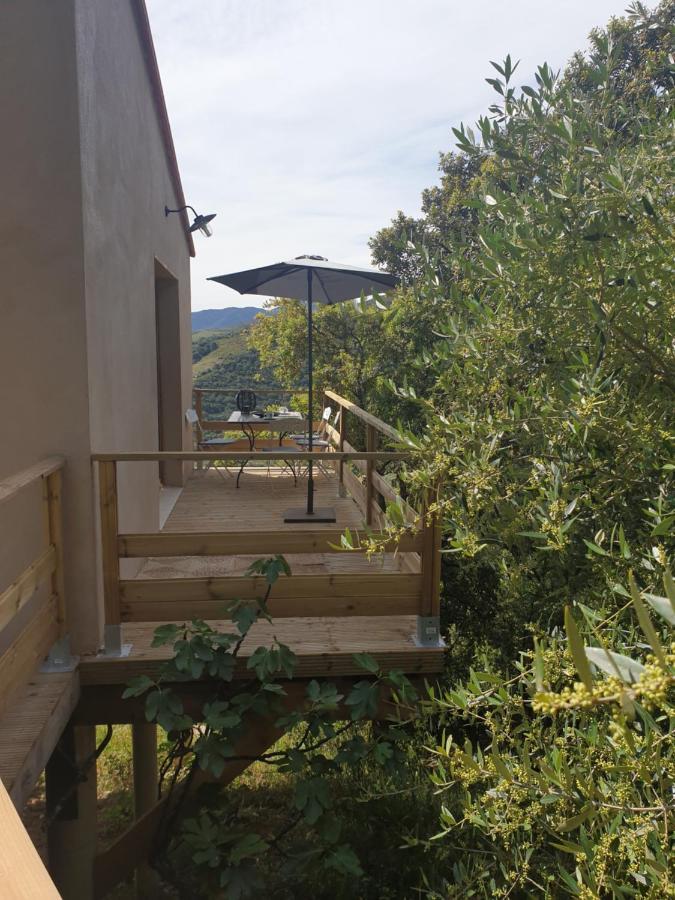 Mas Del Roumany Villa Port Vendres Exterior photo