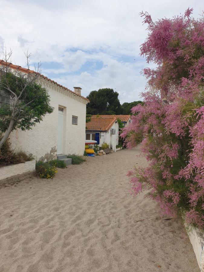 Mas Del Roumany Villa Port Vendres Exterior photo
